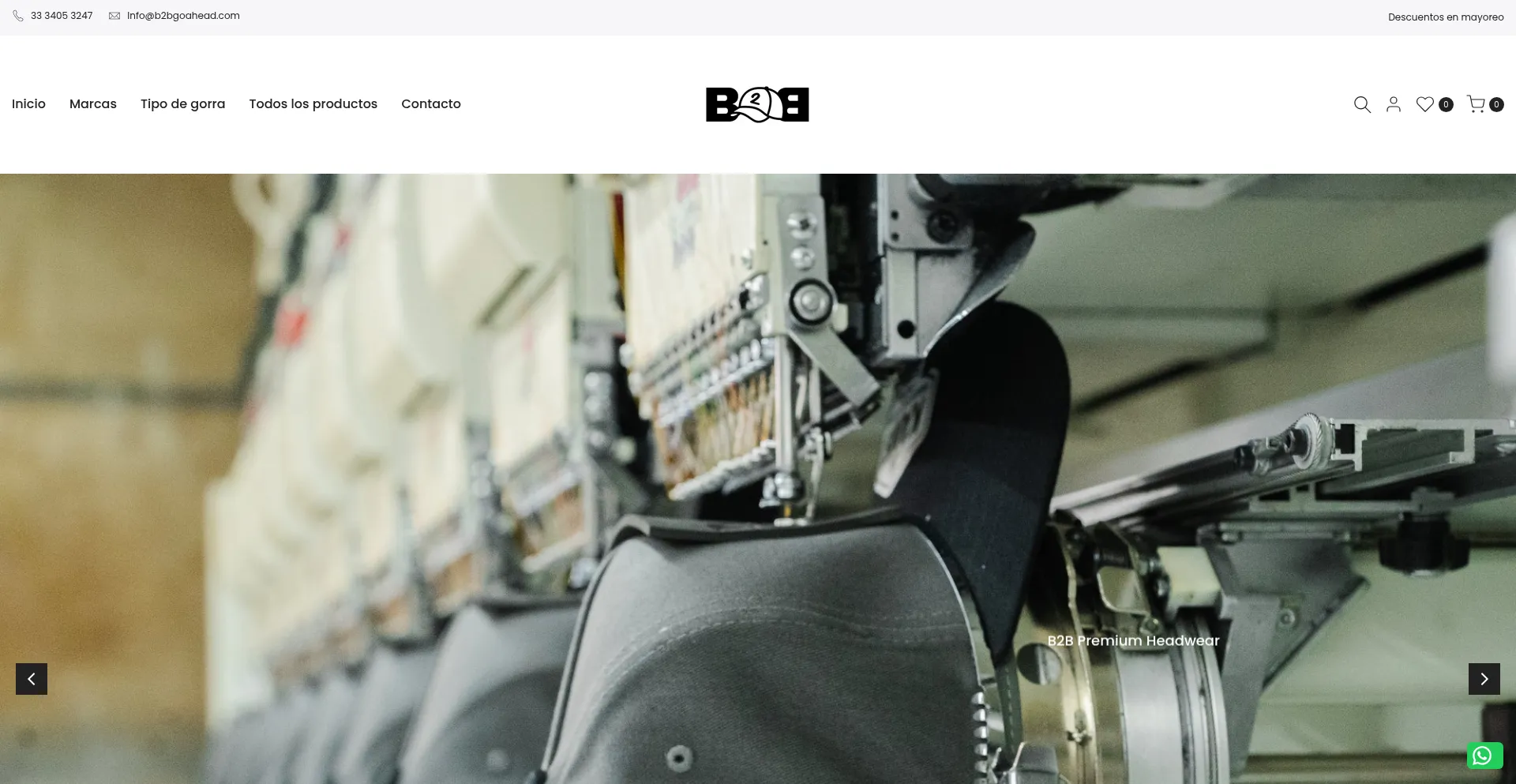 B2bgoahead.com