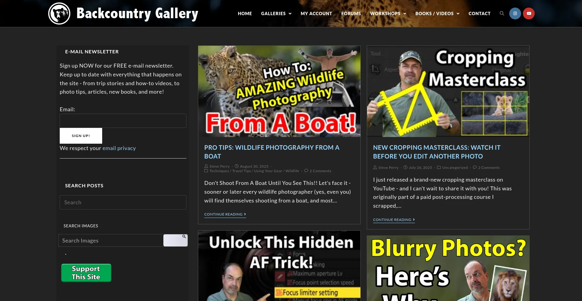 Website screenshot of Backcountrygallery.com