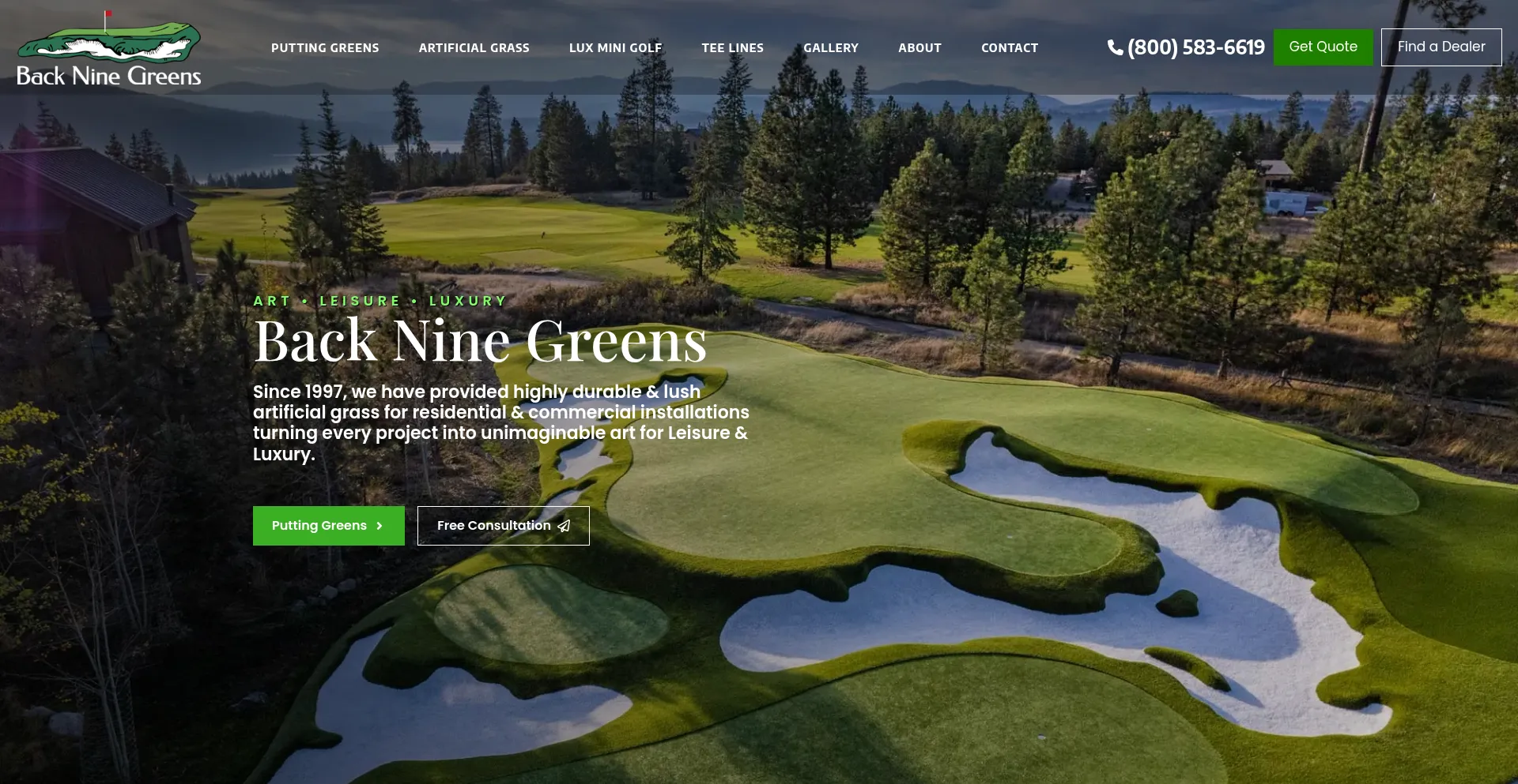 Website screenshot of Backninegreens.com