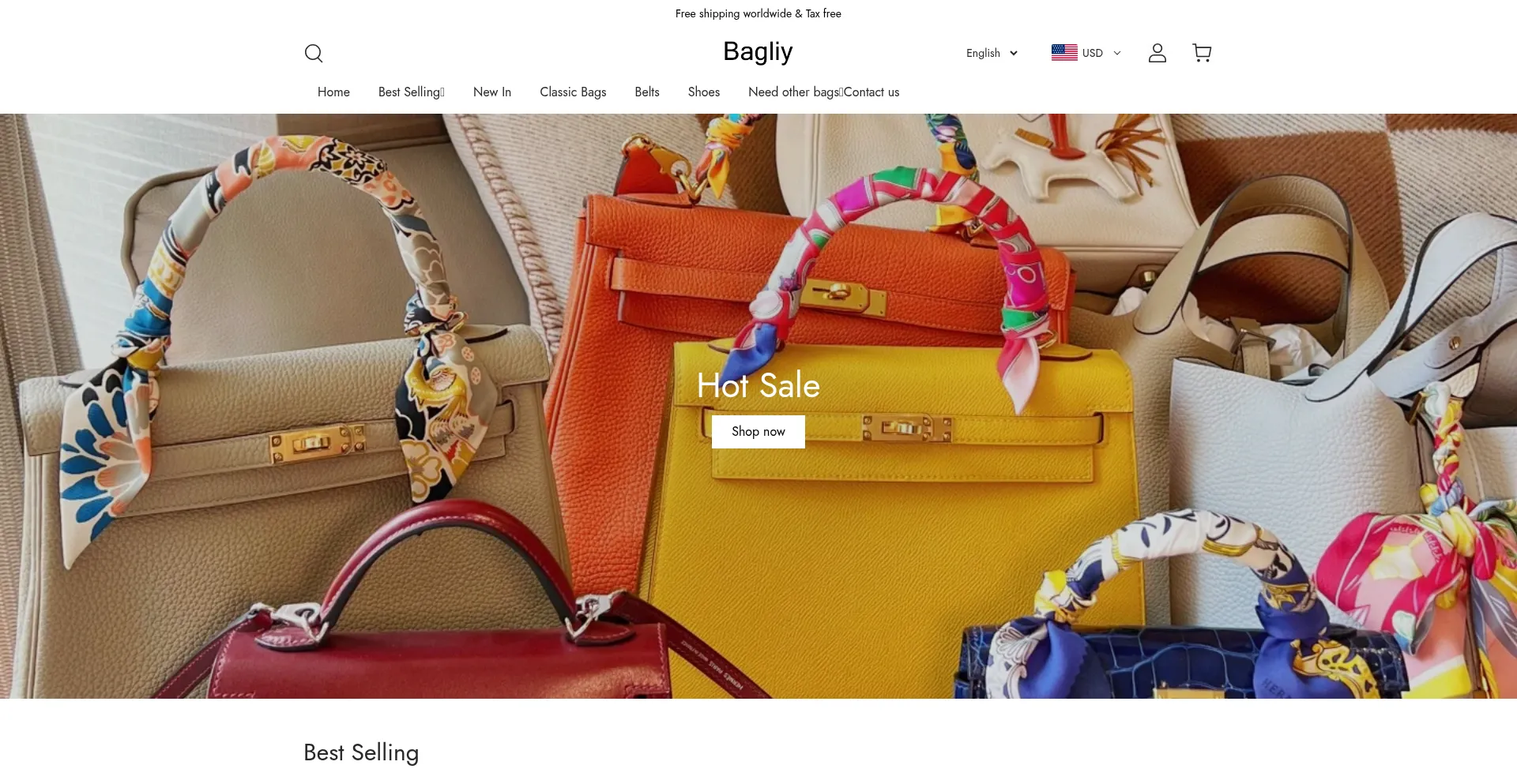 Website screenshot of Bagliy.com