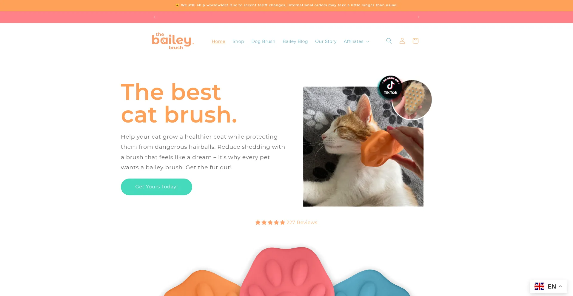 Baileybrush.com