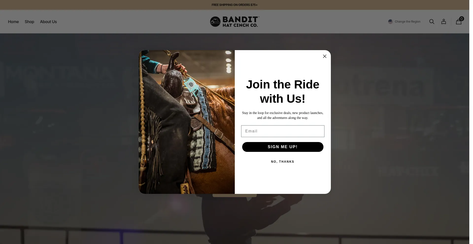Bandithatcinch.com