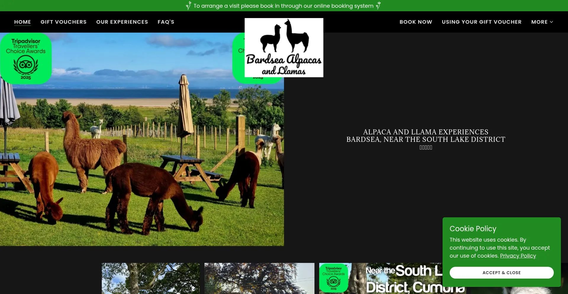 Ist Bardsea-alpacas.co.uk sicher und vertrauenswürdig?
