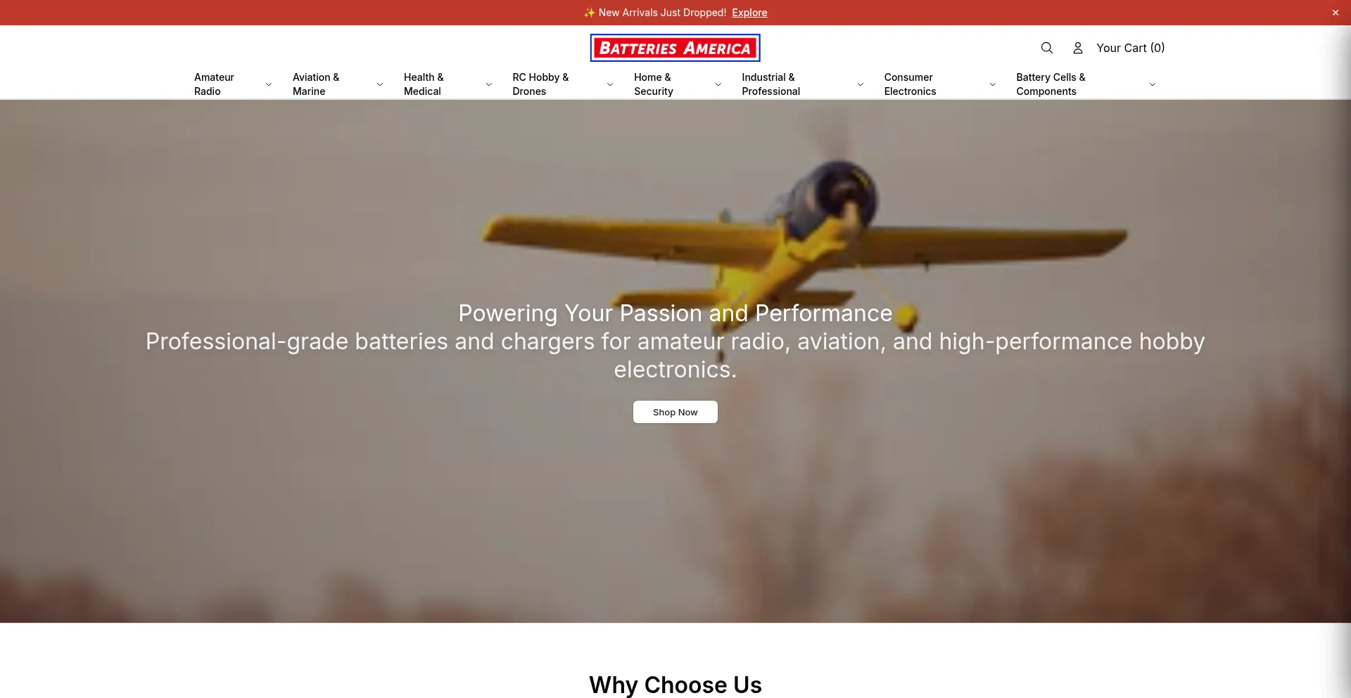 Batteriesamerica.shop