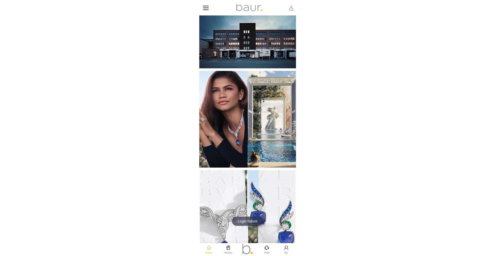 Website screenshot of Baurdeshop.com