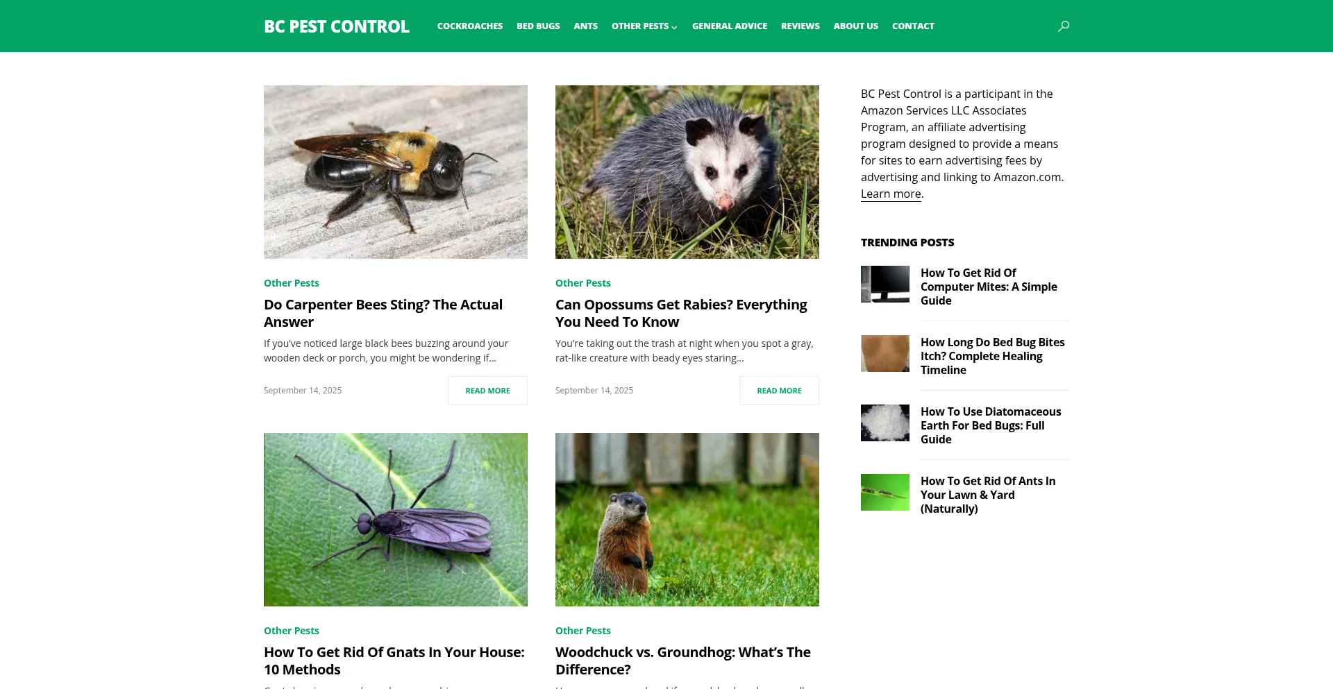 Ist Bcpestcontrol.com sicher und vertrauenswürdig?