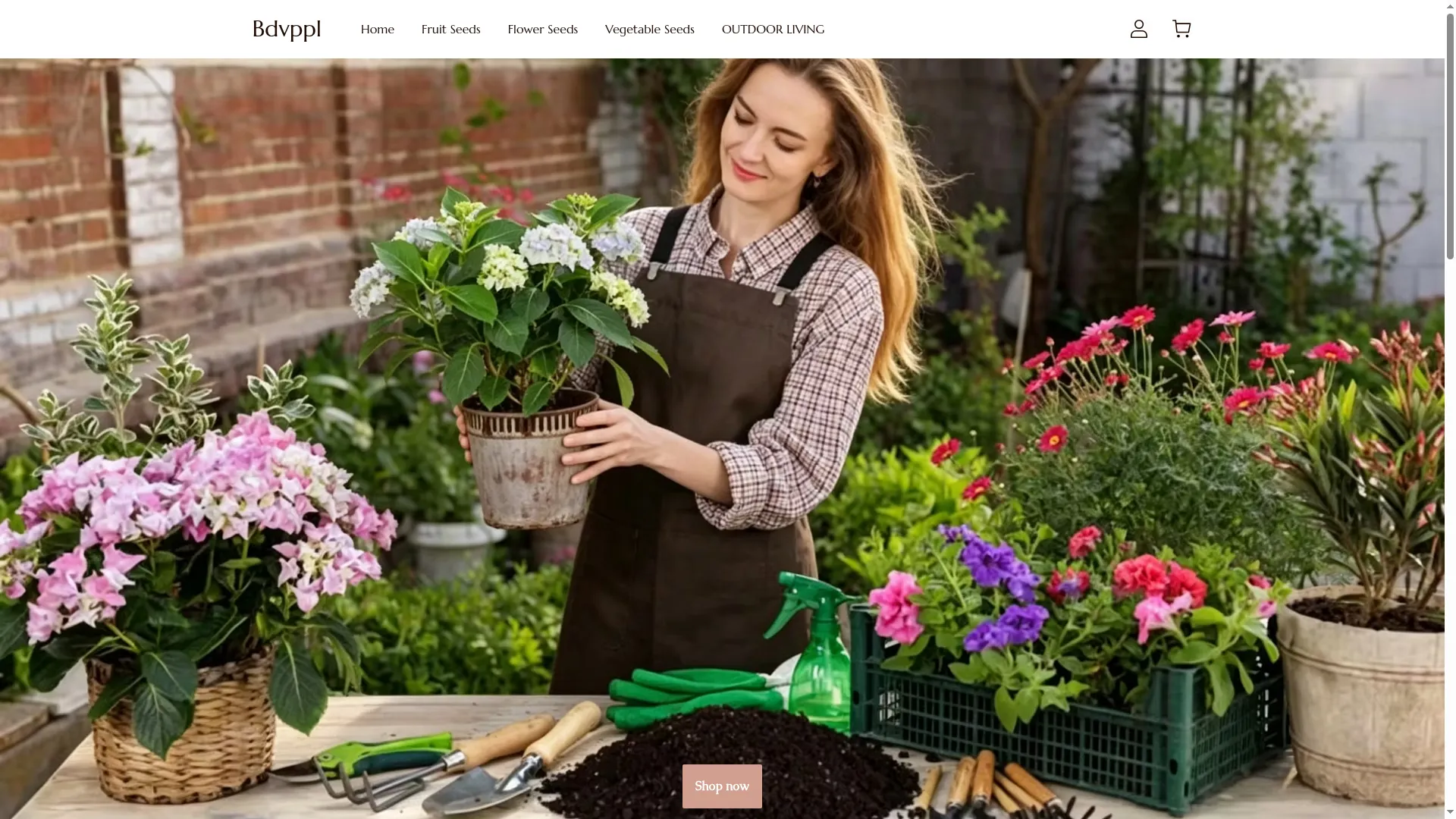 Bdvppl.com