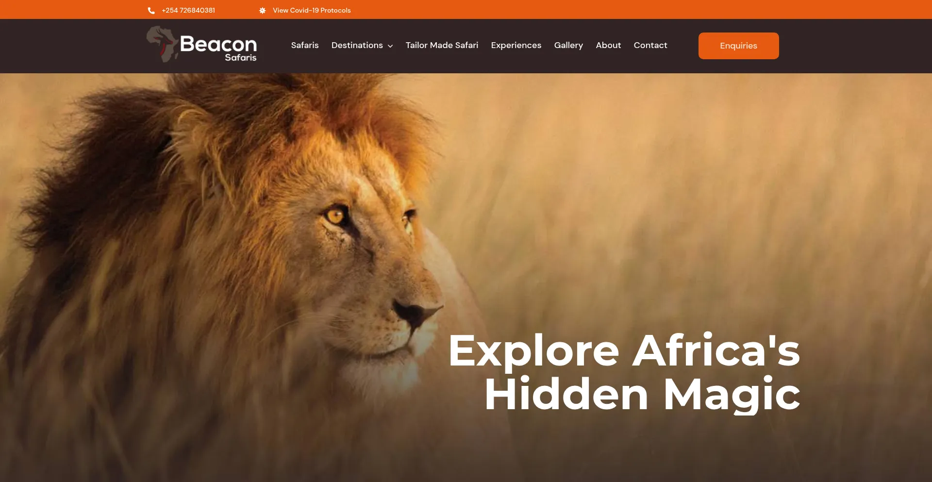 Ist Beaconsafaris.com sicher und vertrauenswürdig?
