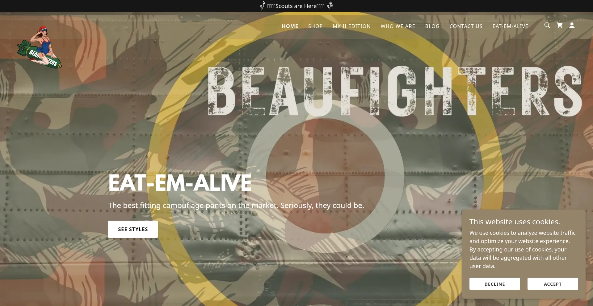 Website screenshot of Beaufighters.com