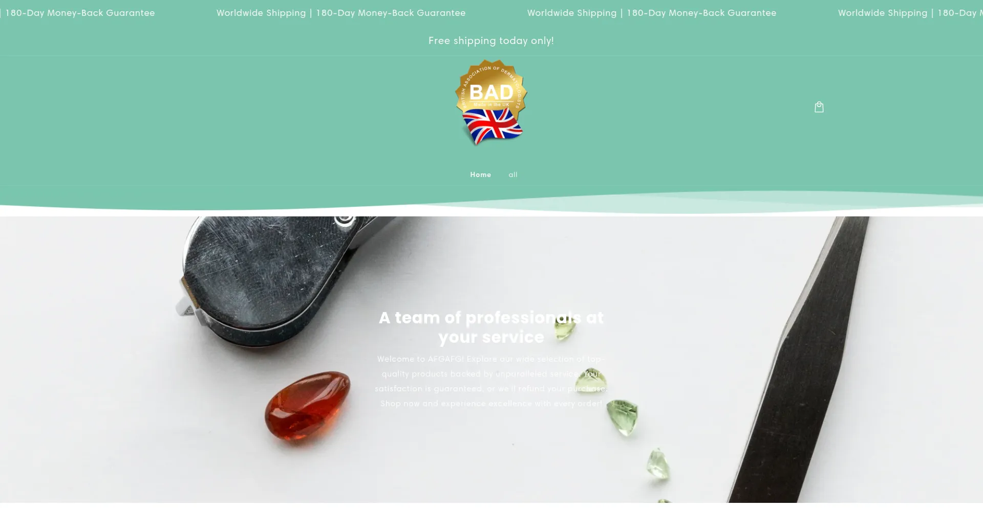 Website screenshot of Beehappyga.com