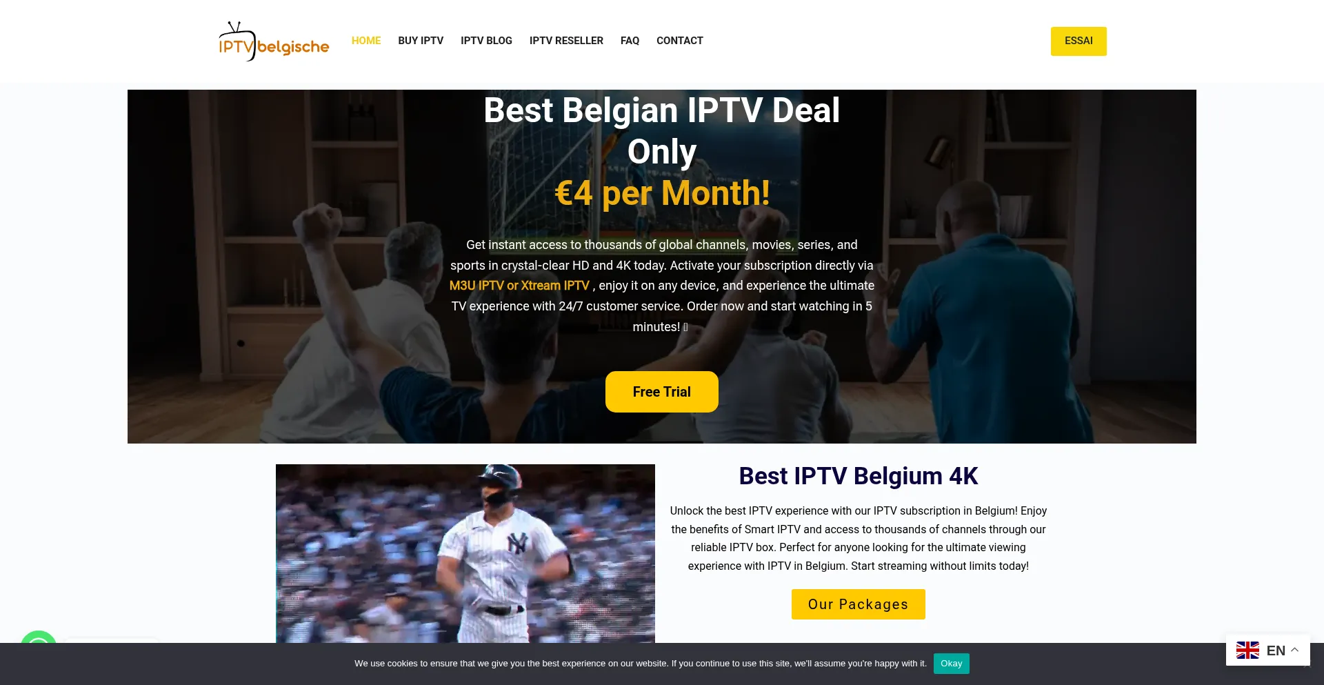 Website screenshot of Belgischeiptv.com
