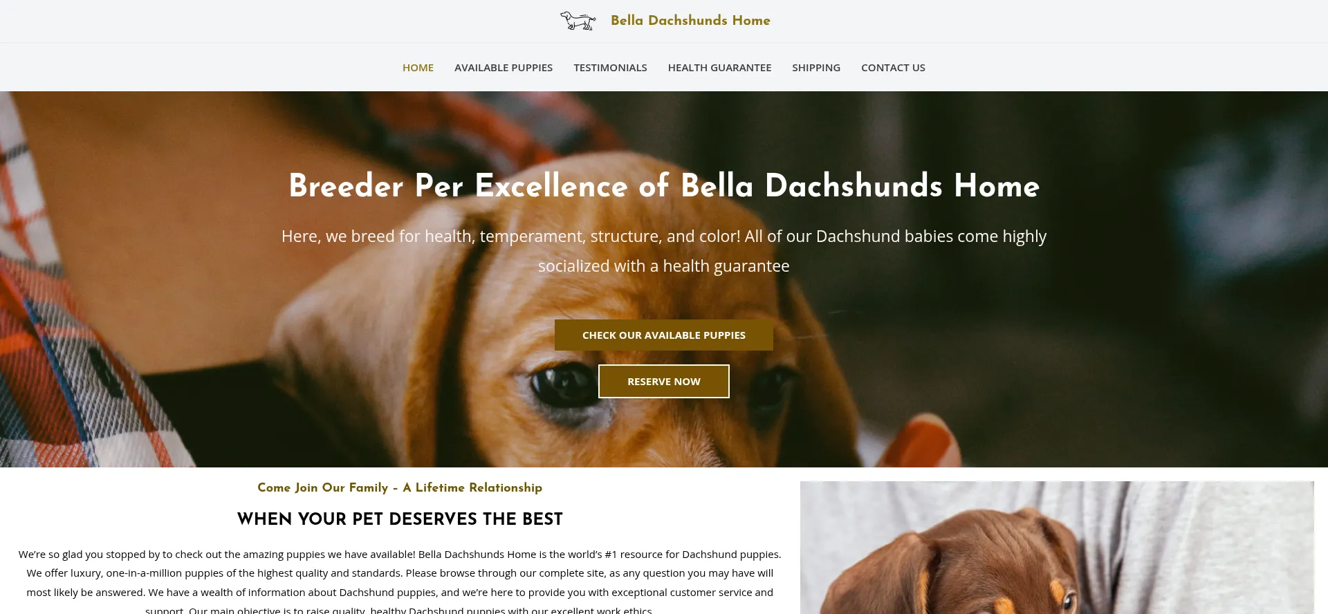 Belladachshundshome.com