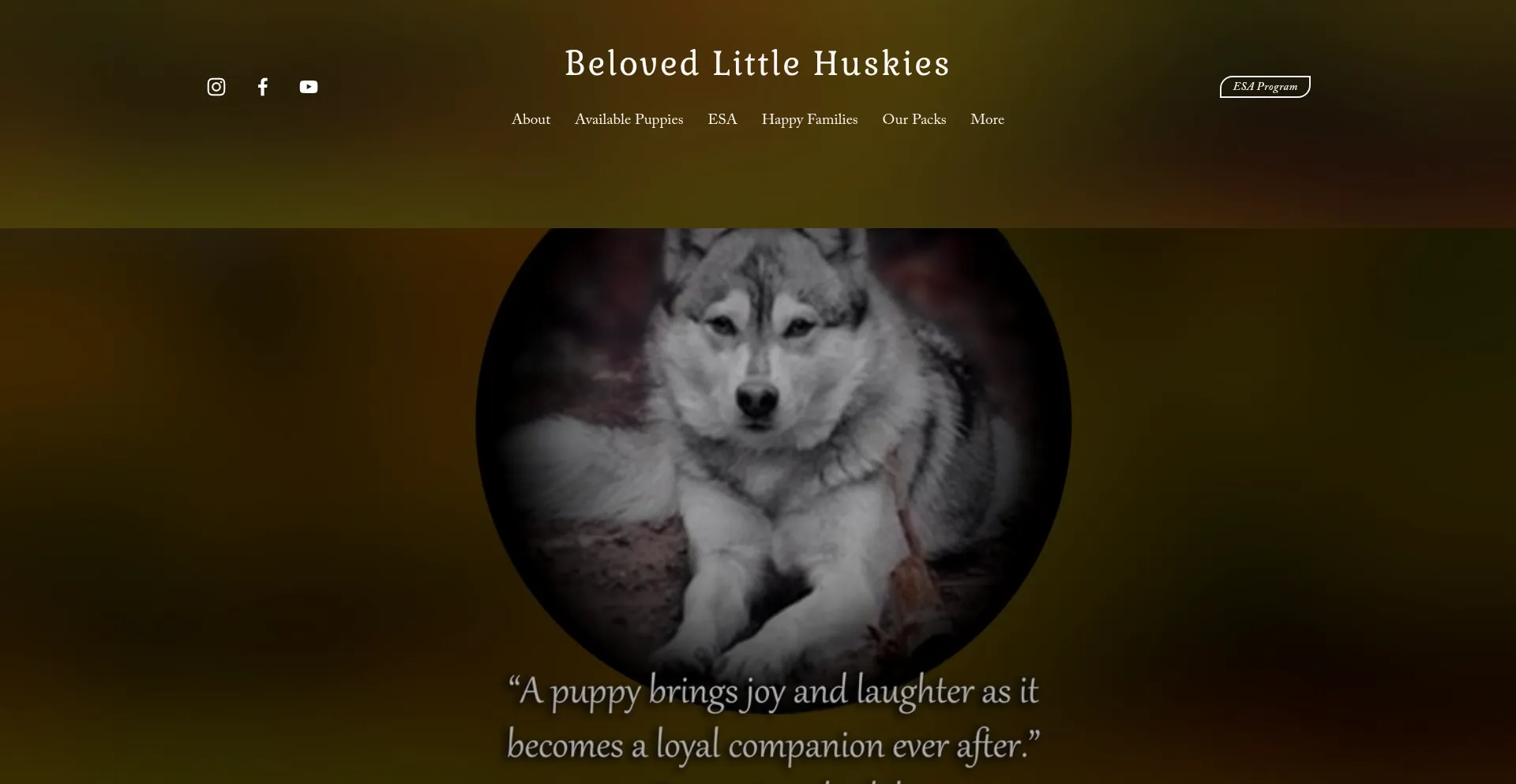 Belovedlittlehuskies.com