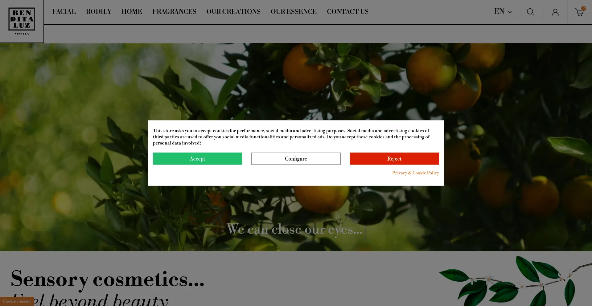 Benditaluz.com
