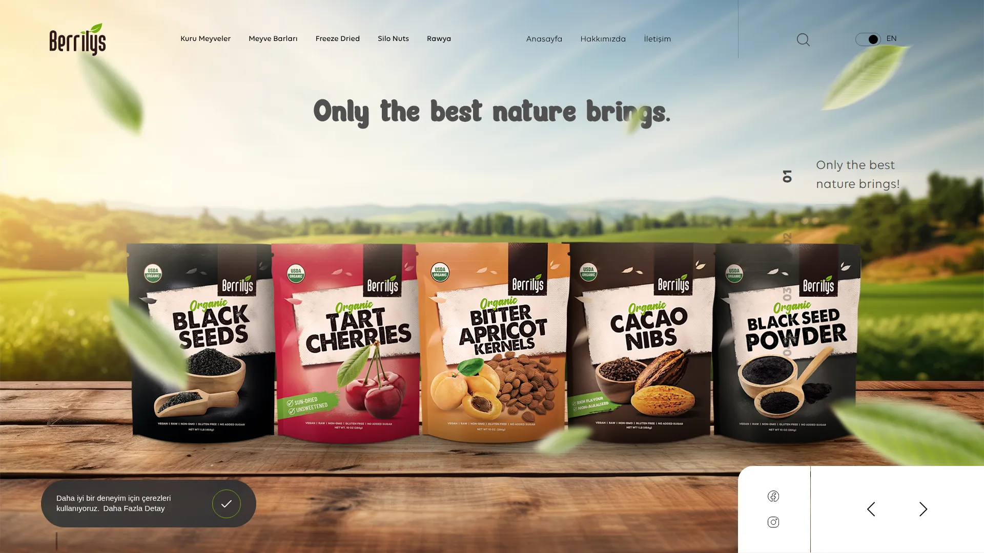 Berrilys.com