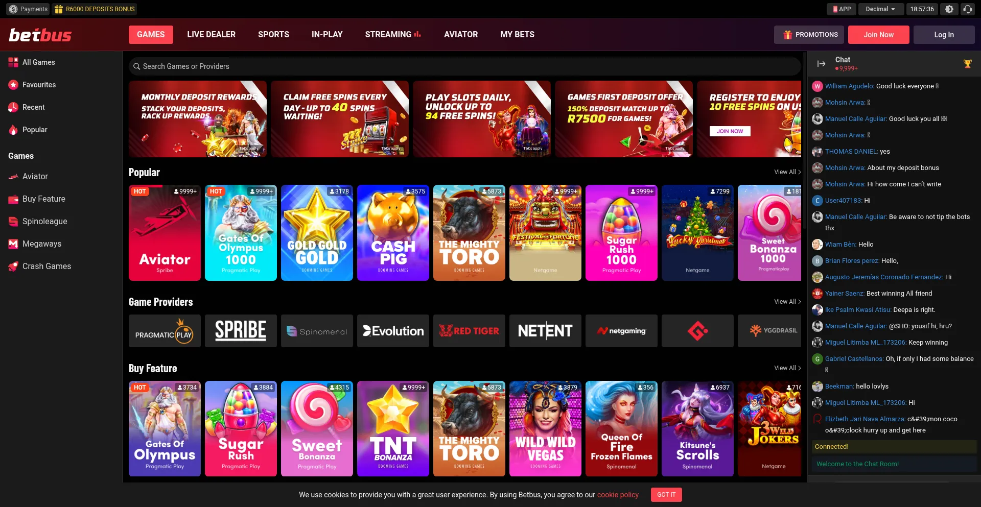 Website screenshot of Betbus.co.za