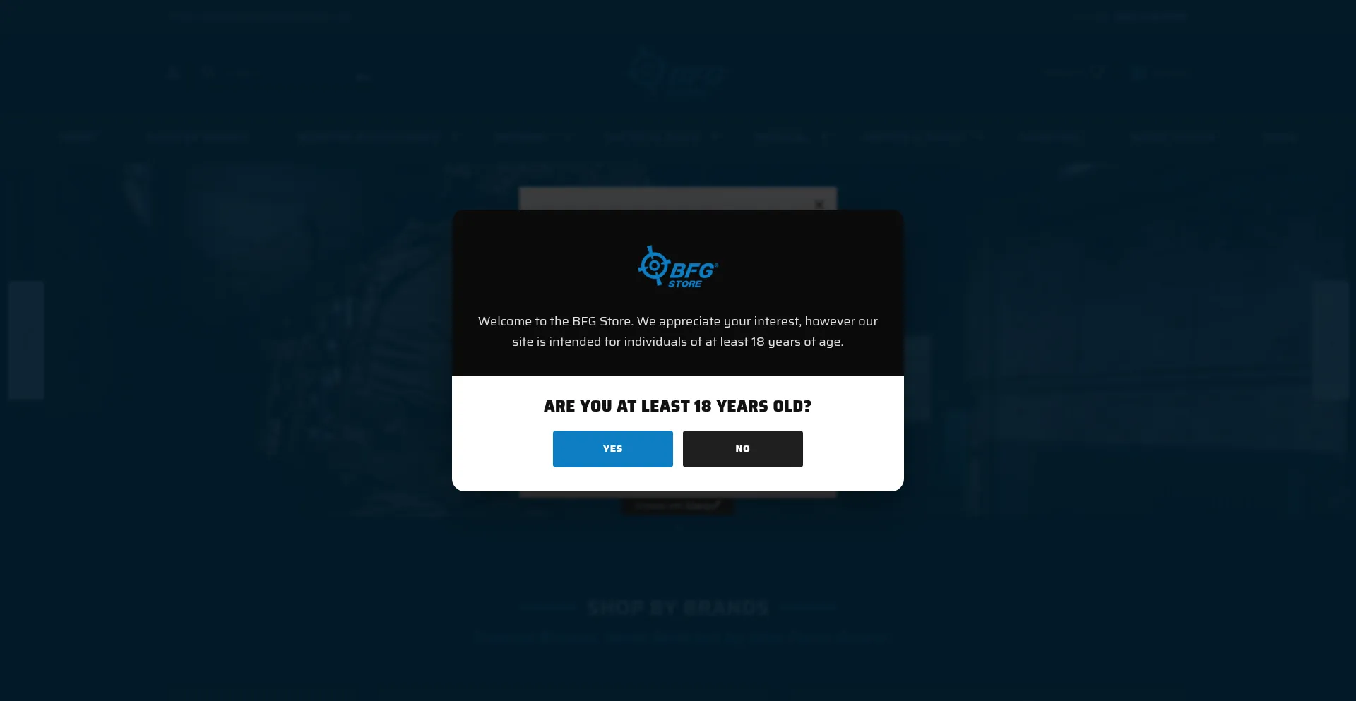 Bfgstore.com