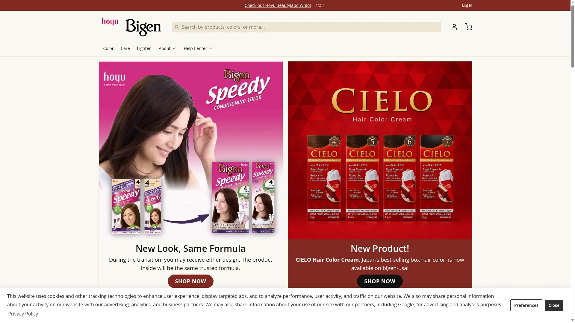 Bigen-usa.com