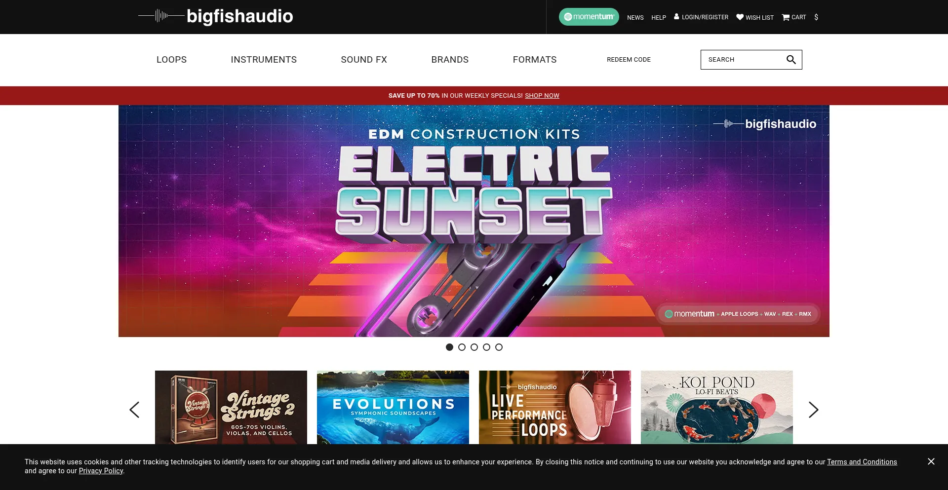 Website screenshot of Bigfishaudio.com