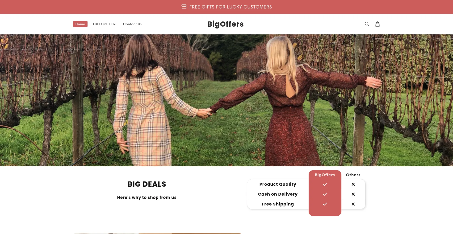 Website screenshot of Bigoffers.in
