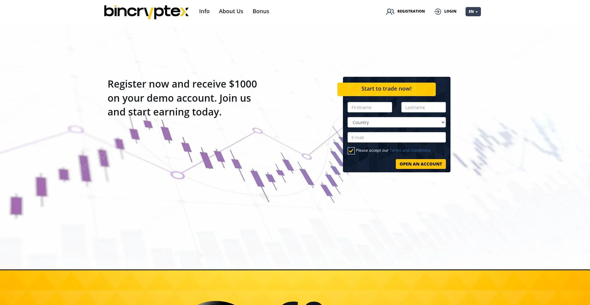 Website screenshot of Bincryptex.com