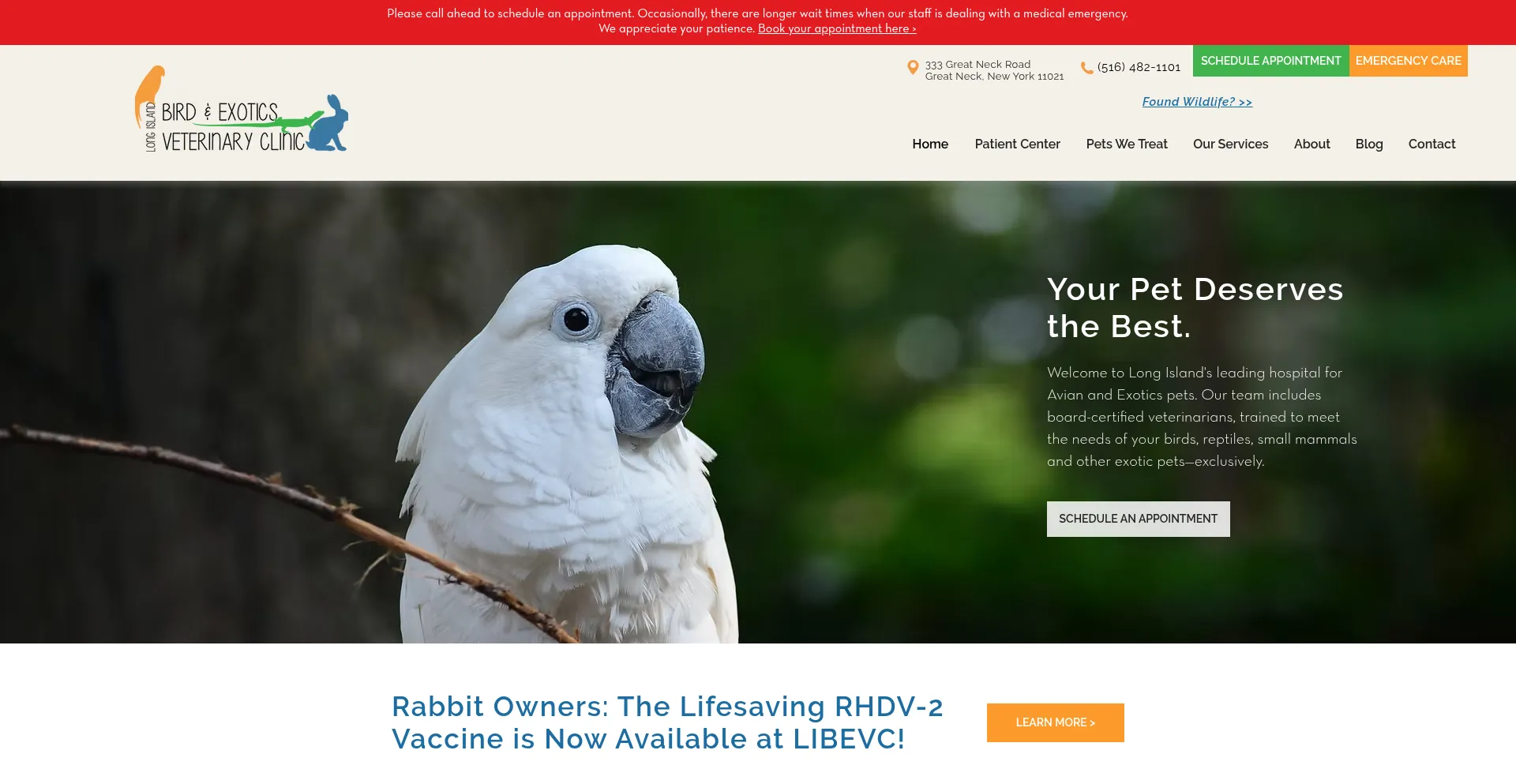 Website screenshot of Birdexoticsvet.com