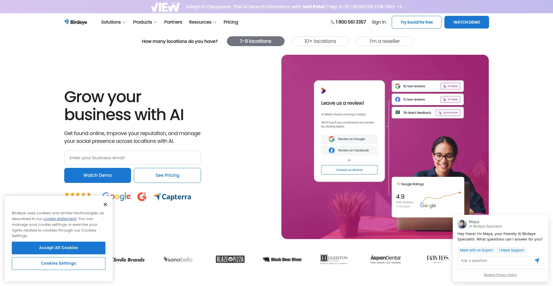 Website screenshot of Birdeye.com