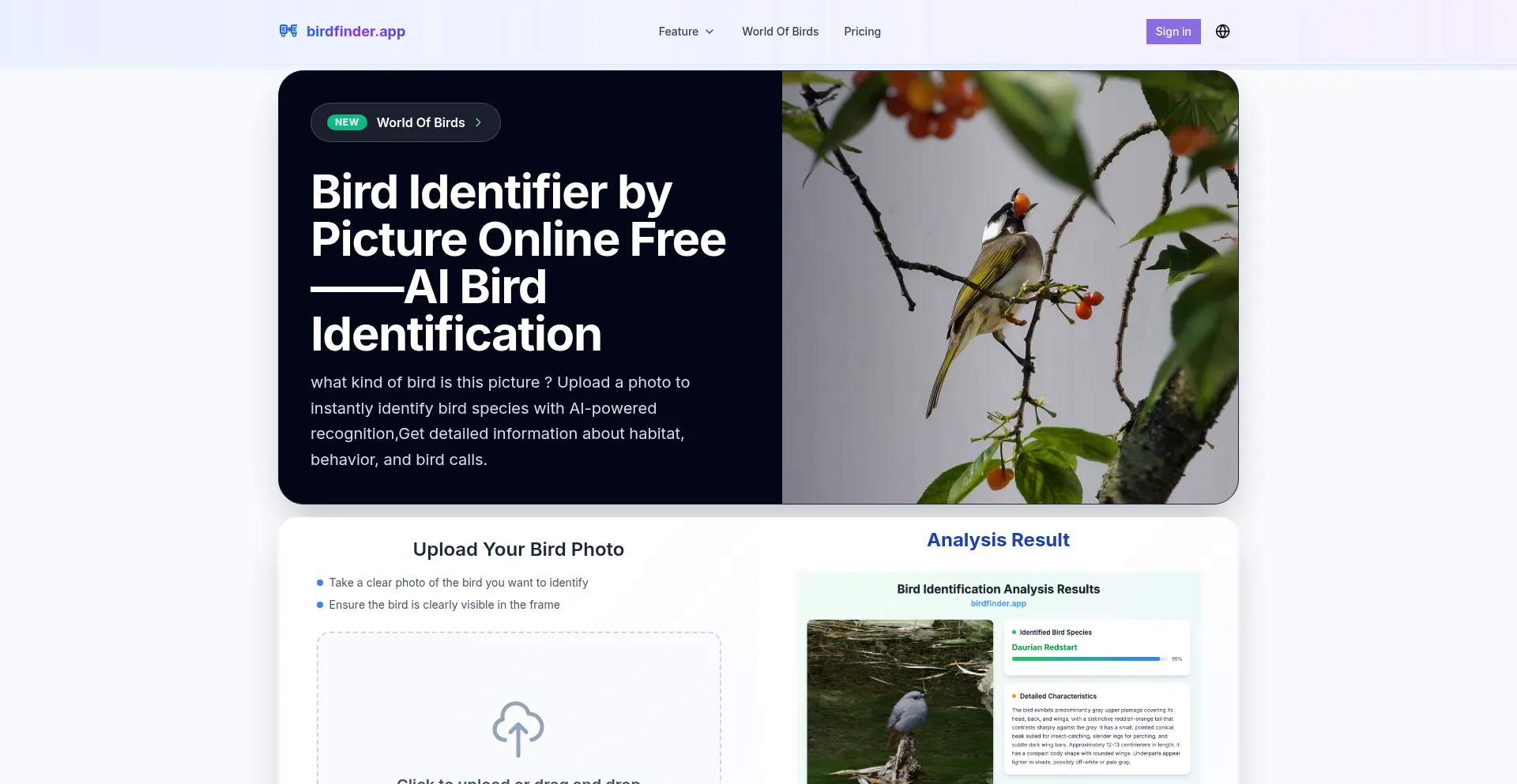 Birdfinder.app