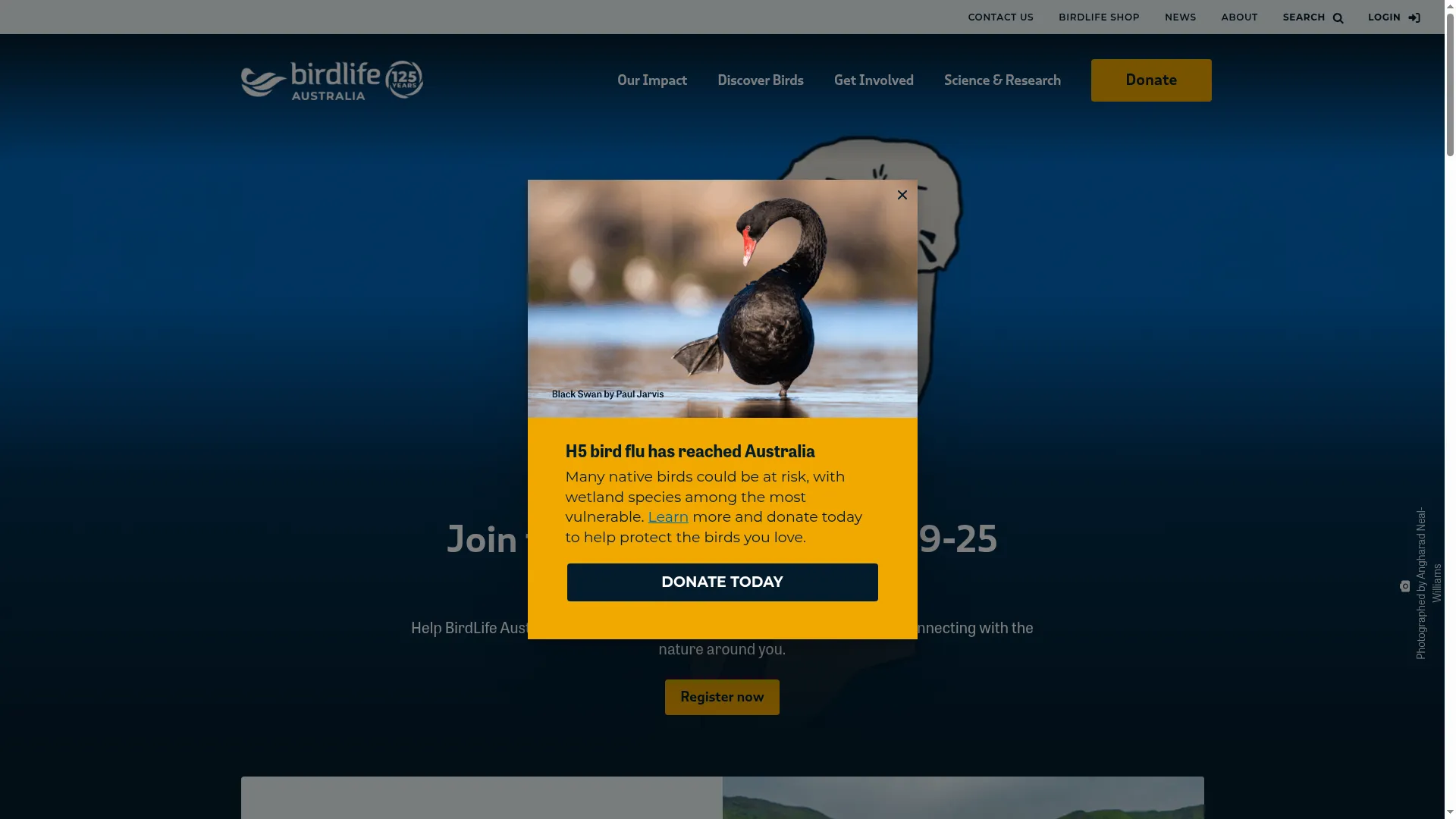 Birdlife.org.au