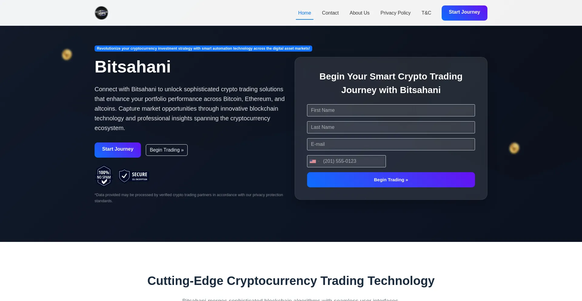 Website screenshot of Bitsahani.com