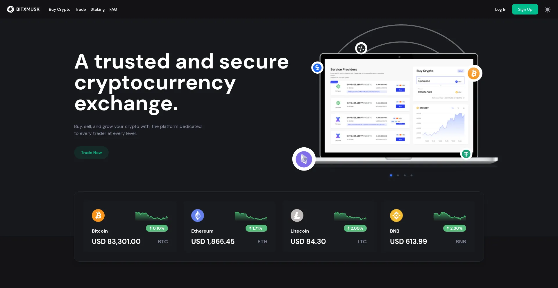Website screenshot of Bitxmusk.com
