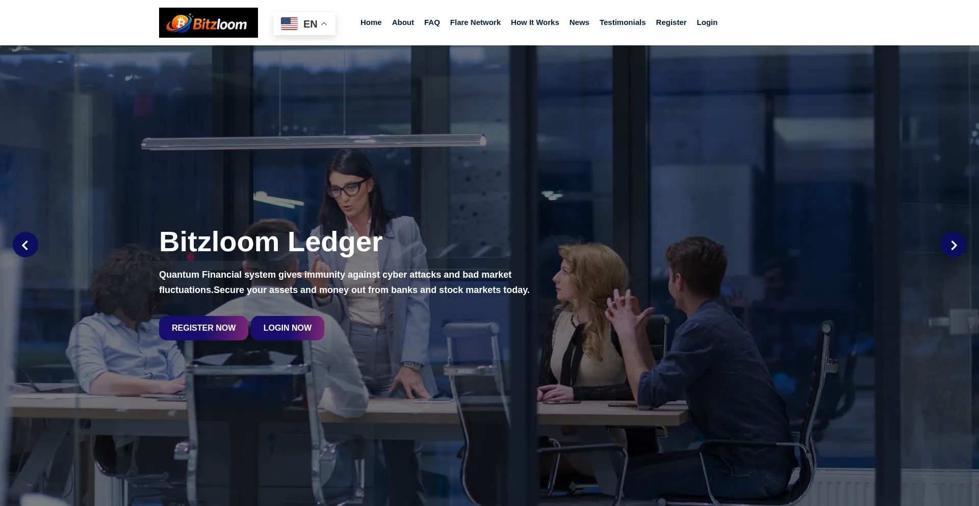 Bitzloom.com