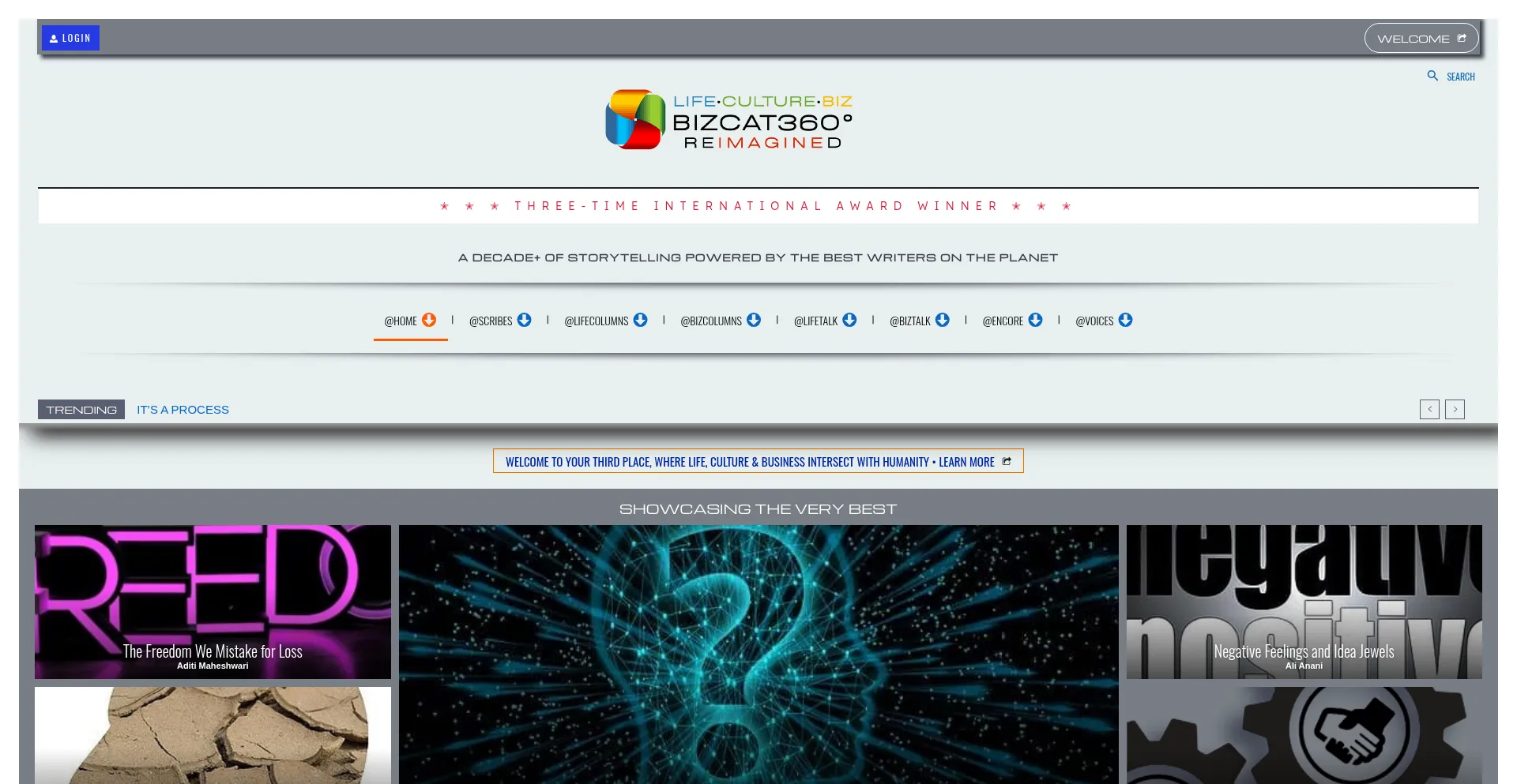 Bizcatalyst360.com