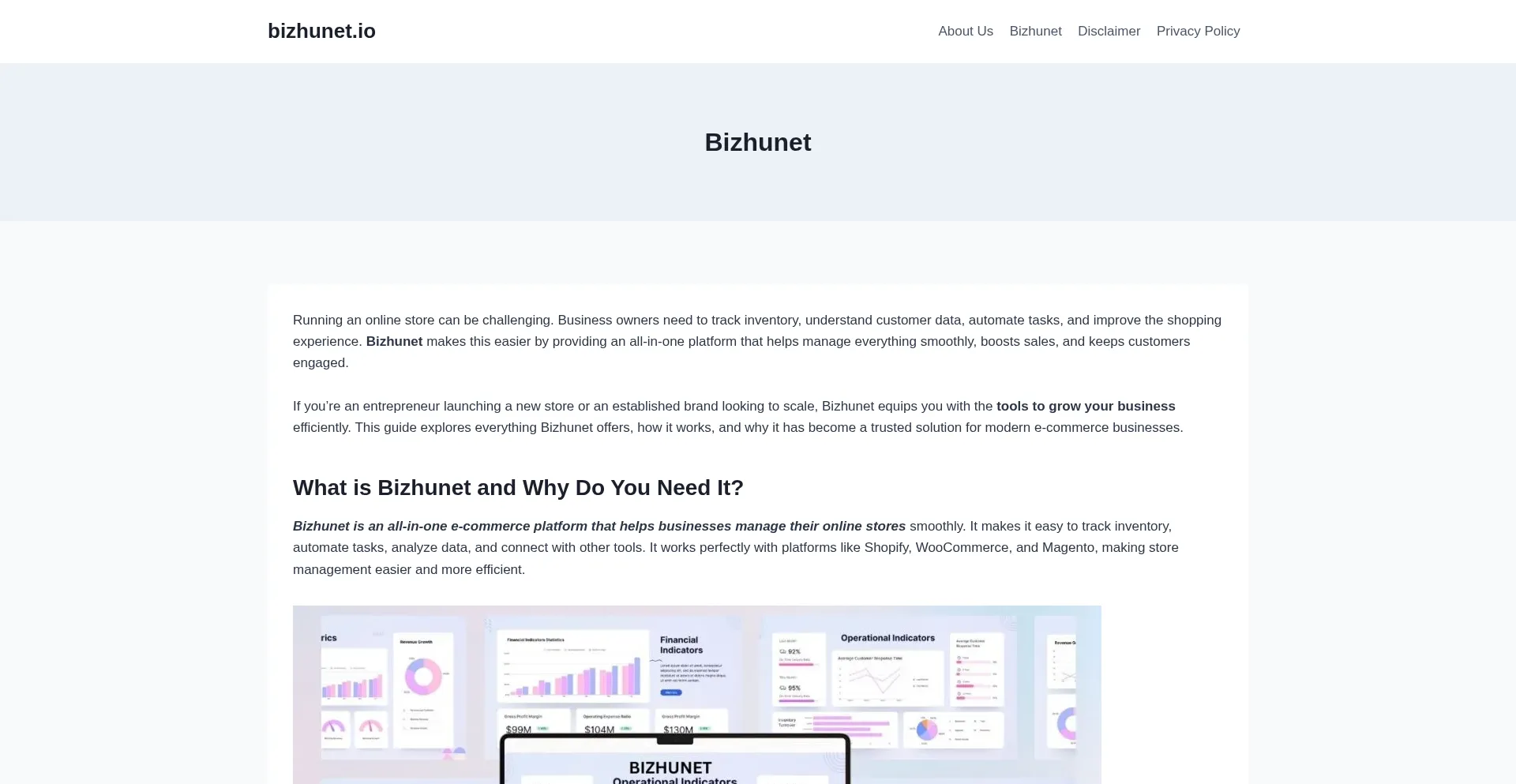 Bizhunet.io Screenshot