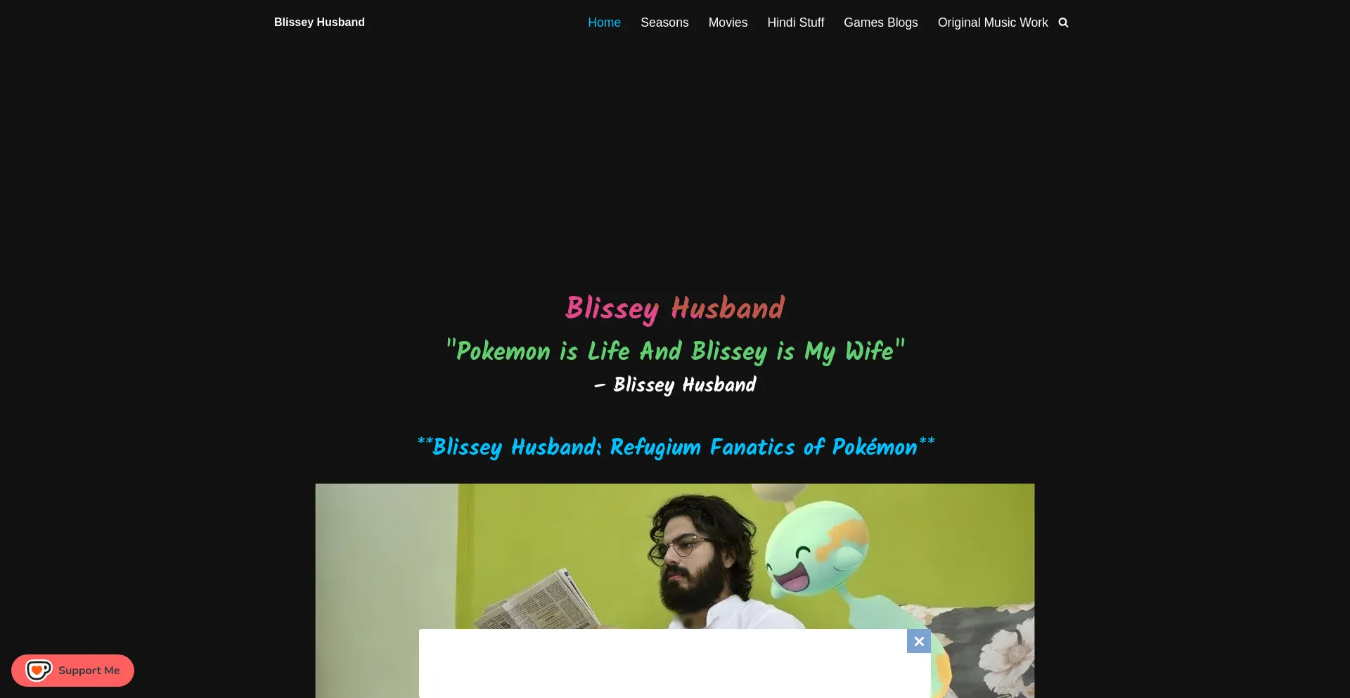 Website screenshot of Blisseyhusband.net