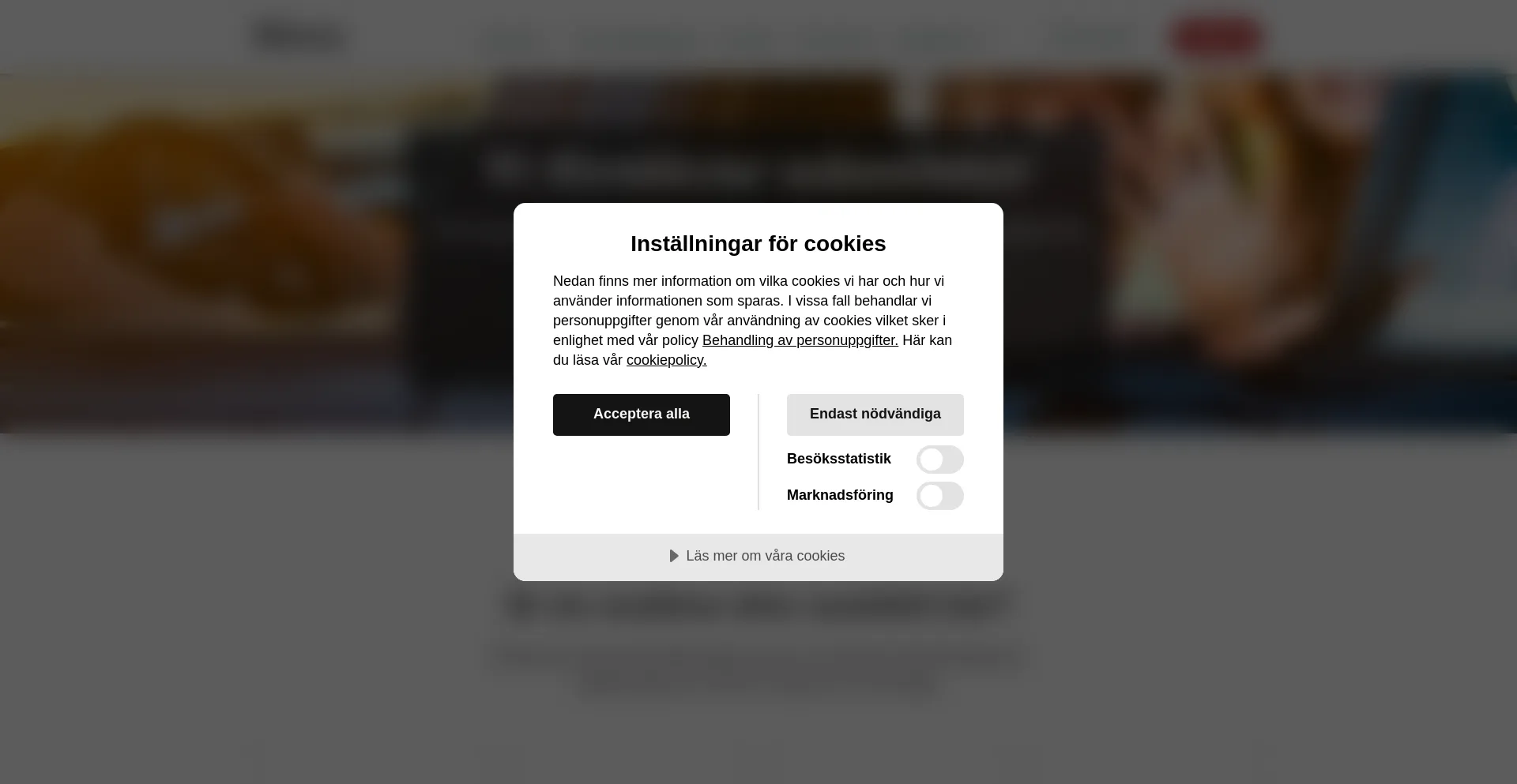 Website screenshot of Bliwa.se