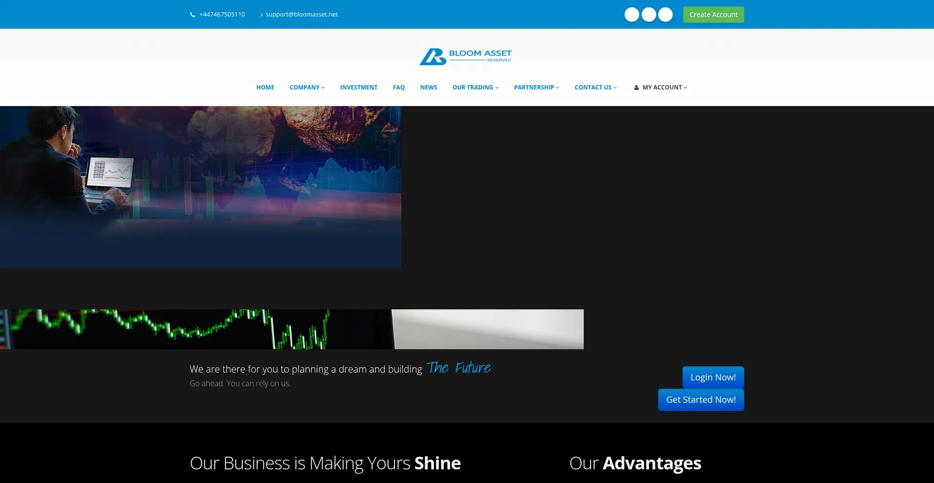 Website screenshot of Bloomasset.org