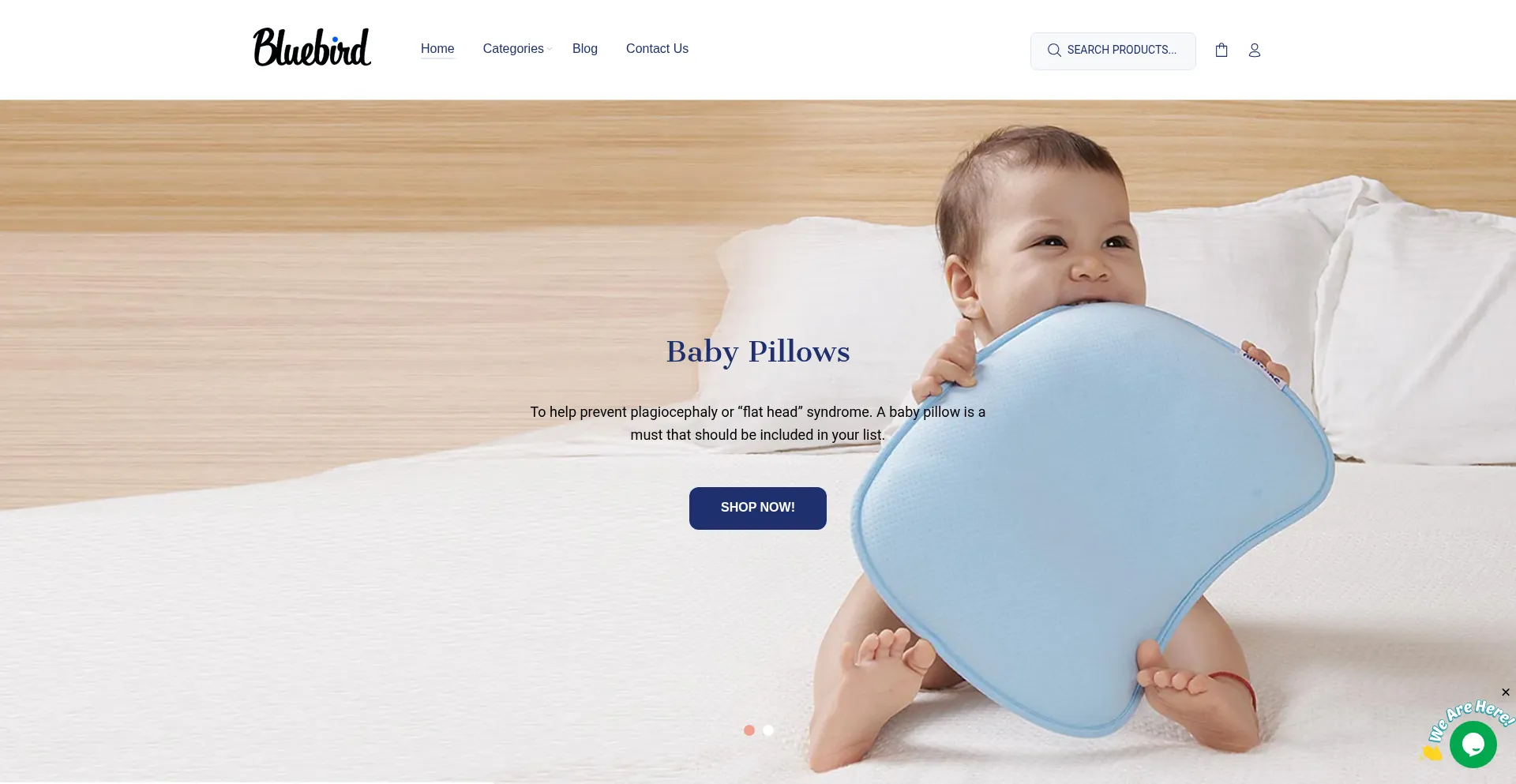 Bluebirdbaby.co