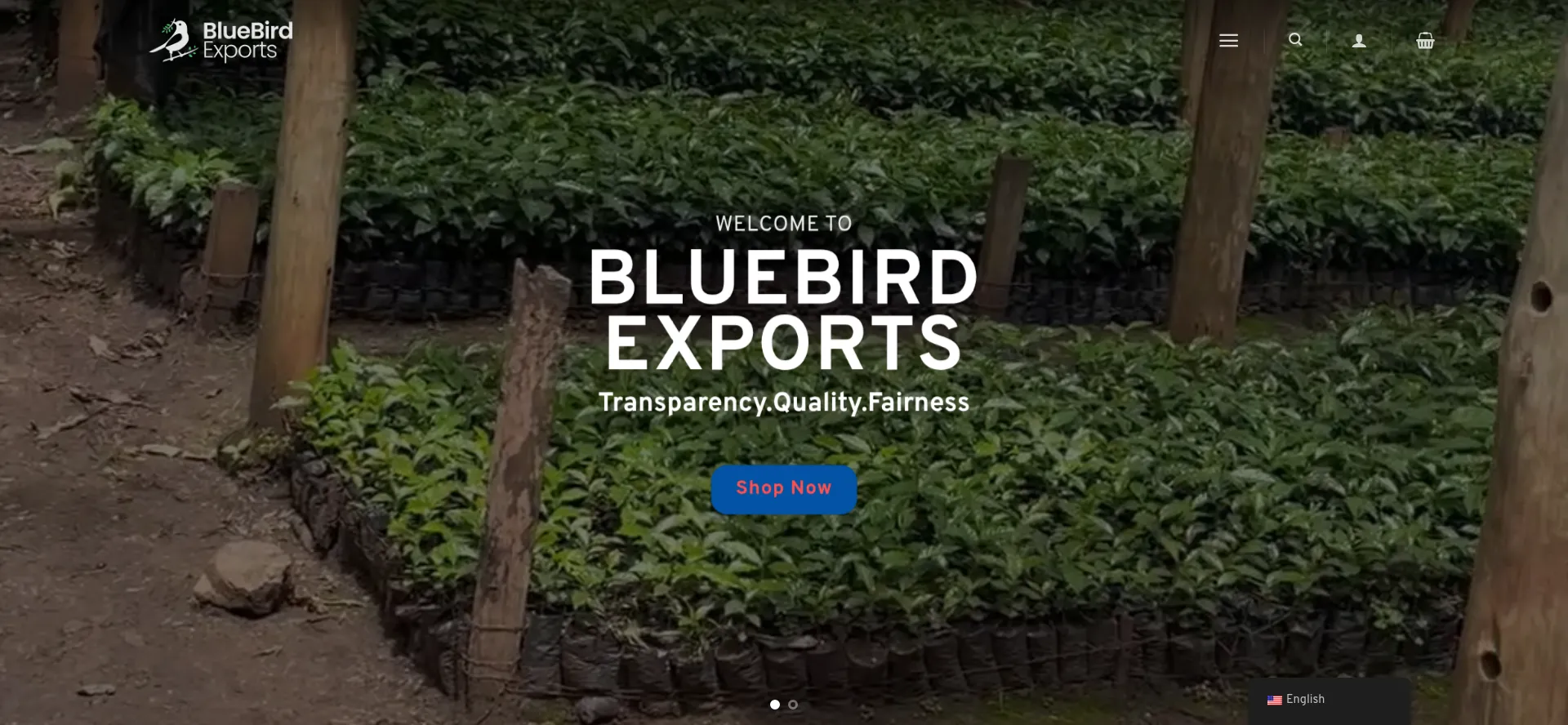 Bluebirdexport.com