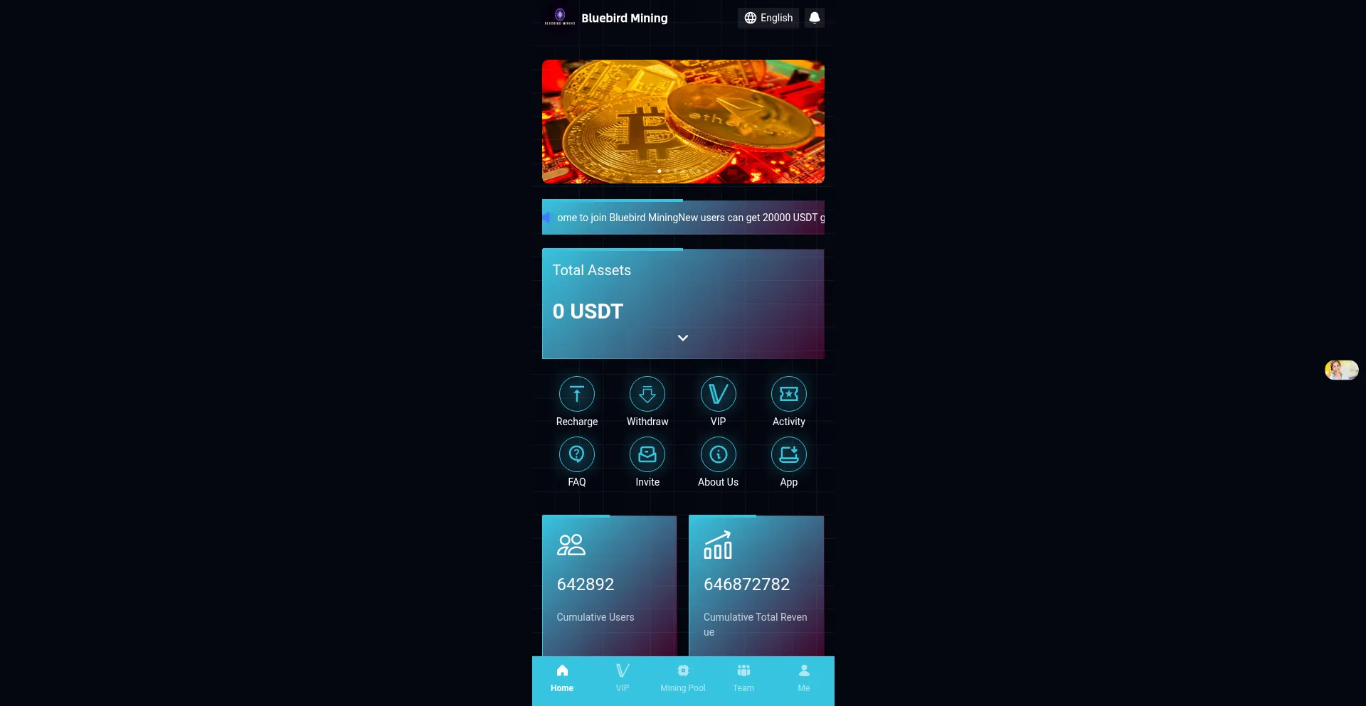 Website screenshot of Blueminings.com