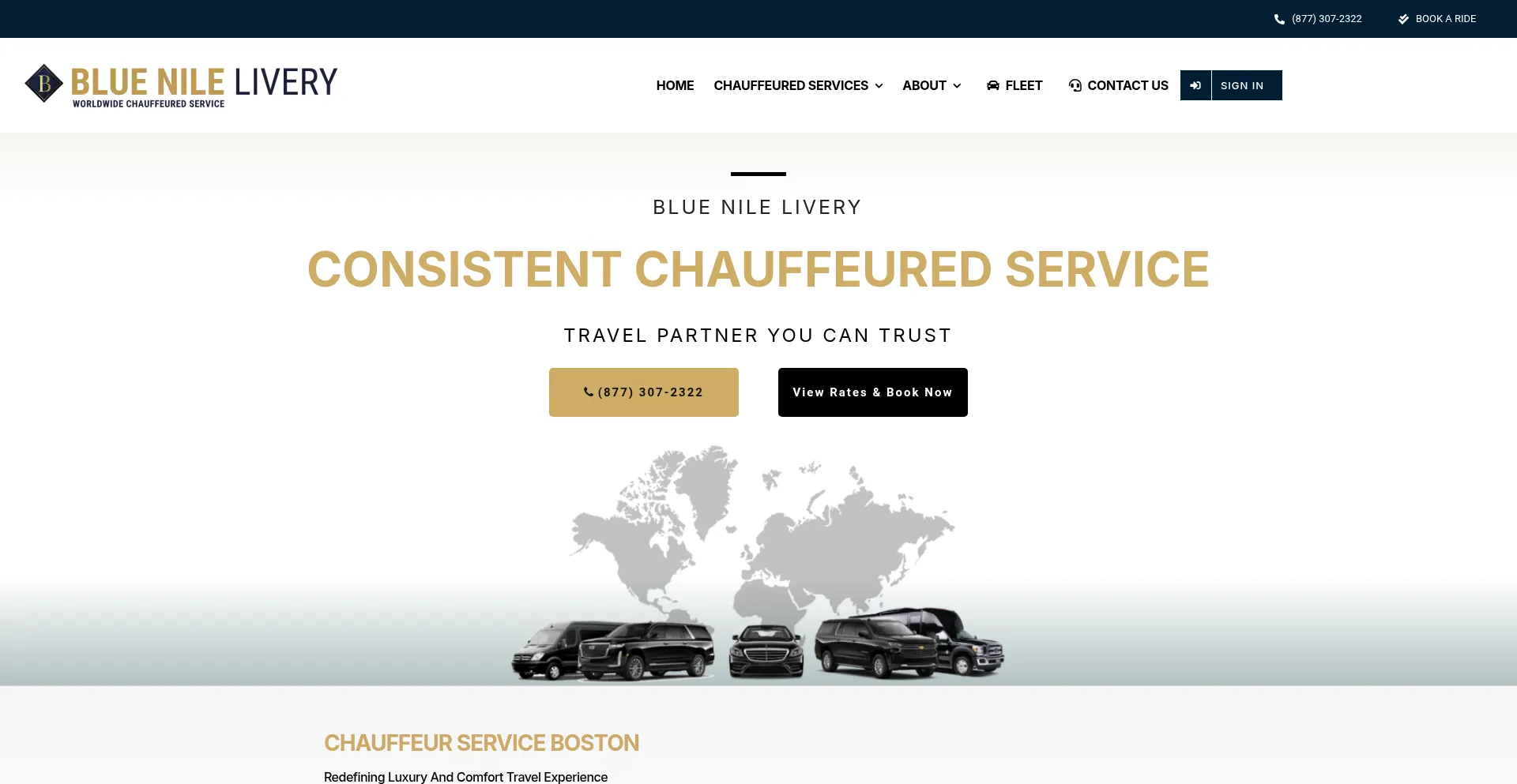 Website screenshot of Bluenilelivery.com