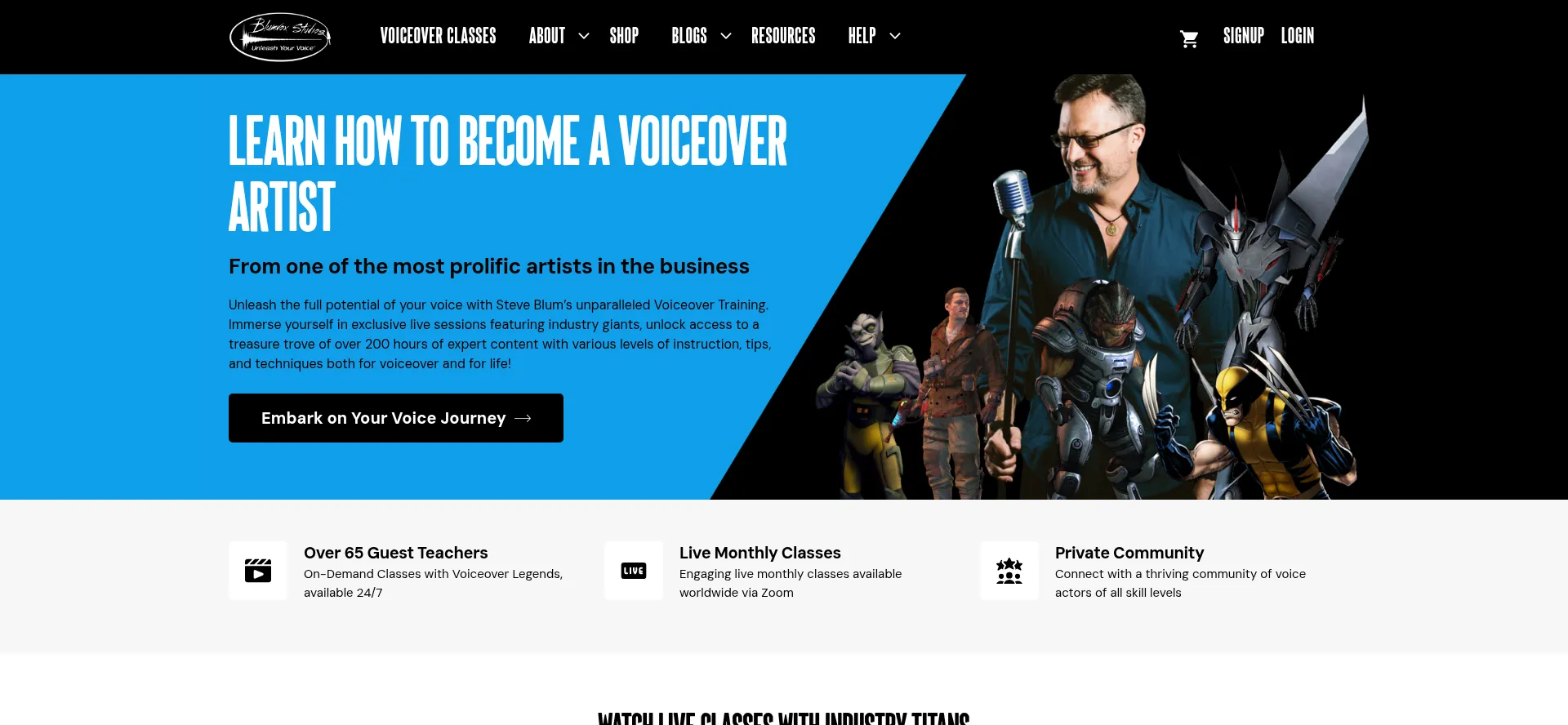 Blumvoxstudios.com