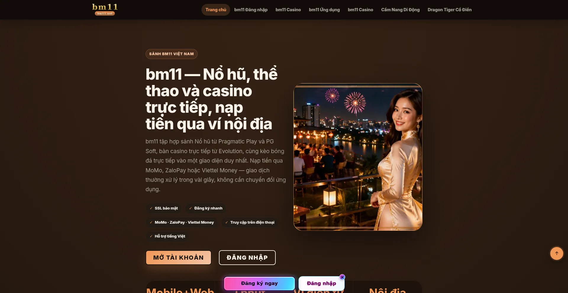 Bm11.net