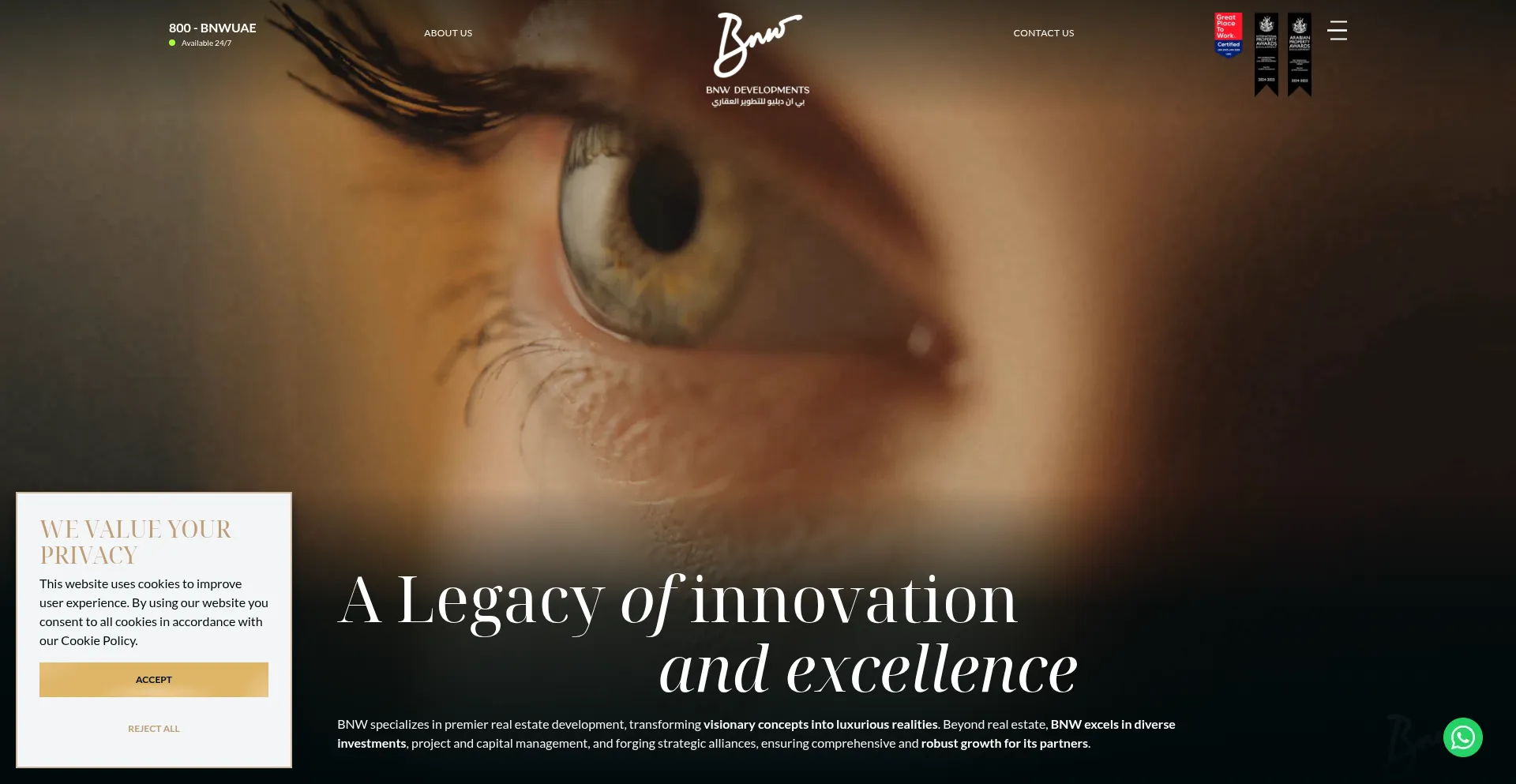 Website screenshot of Bnw.ae