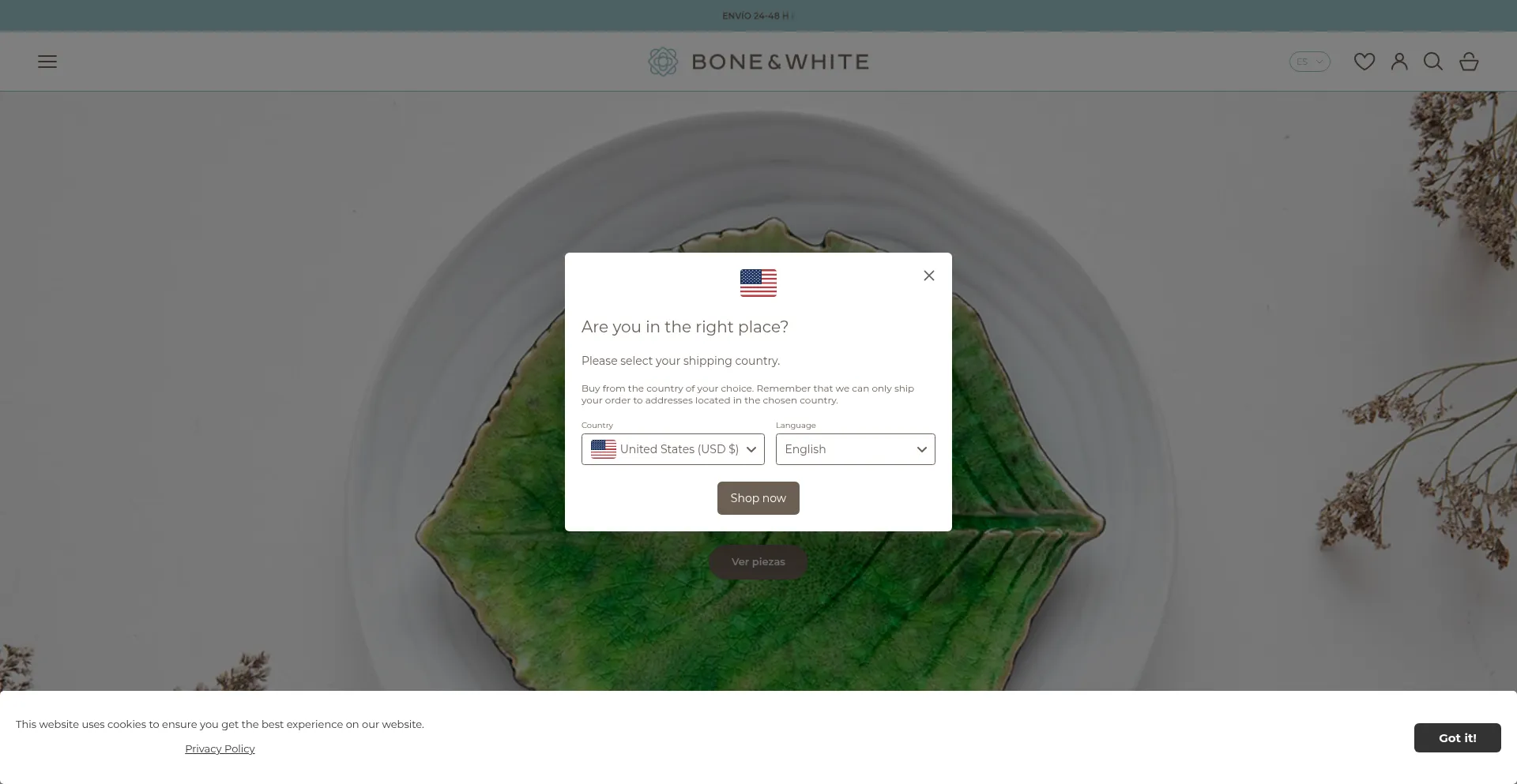 Boneandwhite.com Screenshot