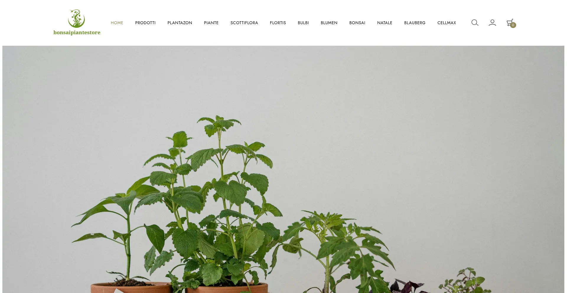 Bonsaipiantestore.com
