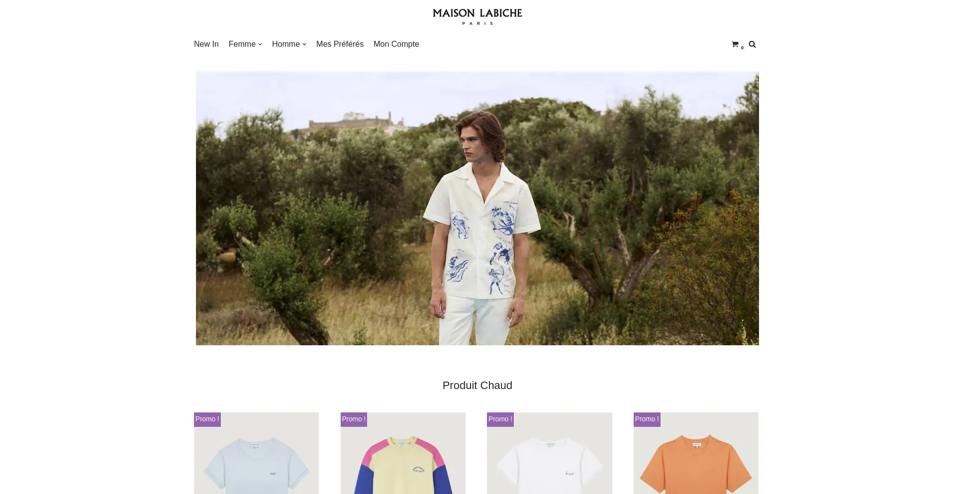 Website screenshot of Bostoncoryell.shop