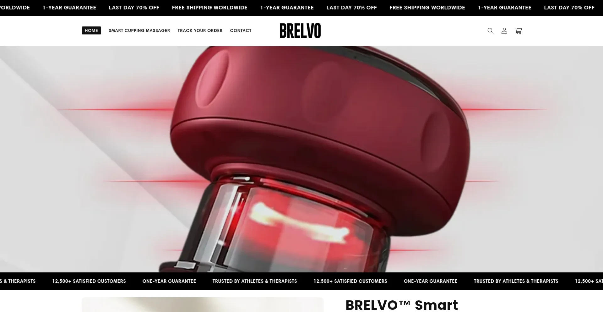 Website screenshot of Brelvo.com