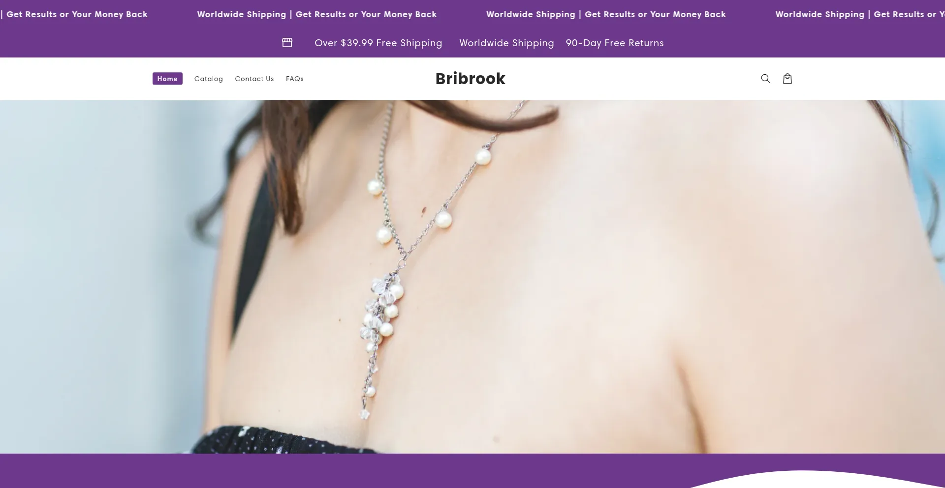 Website screenshot of Bribrook.com