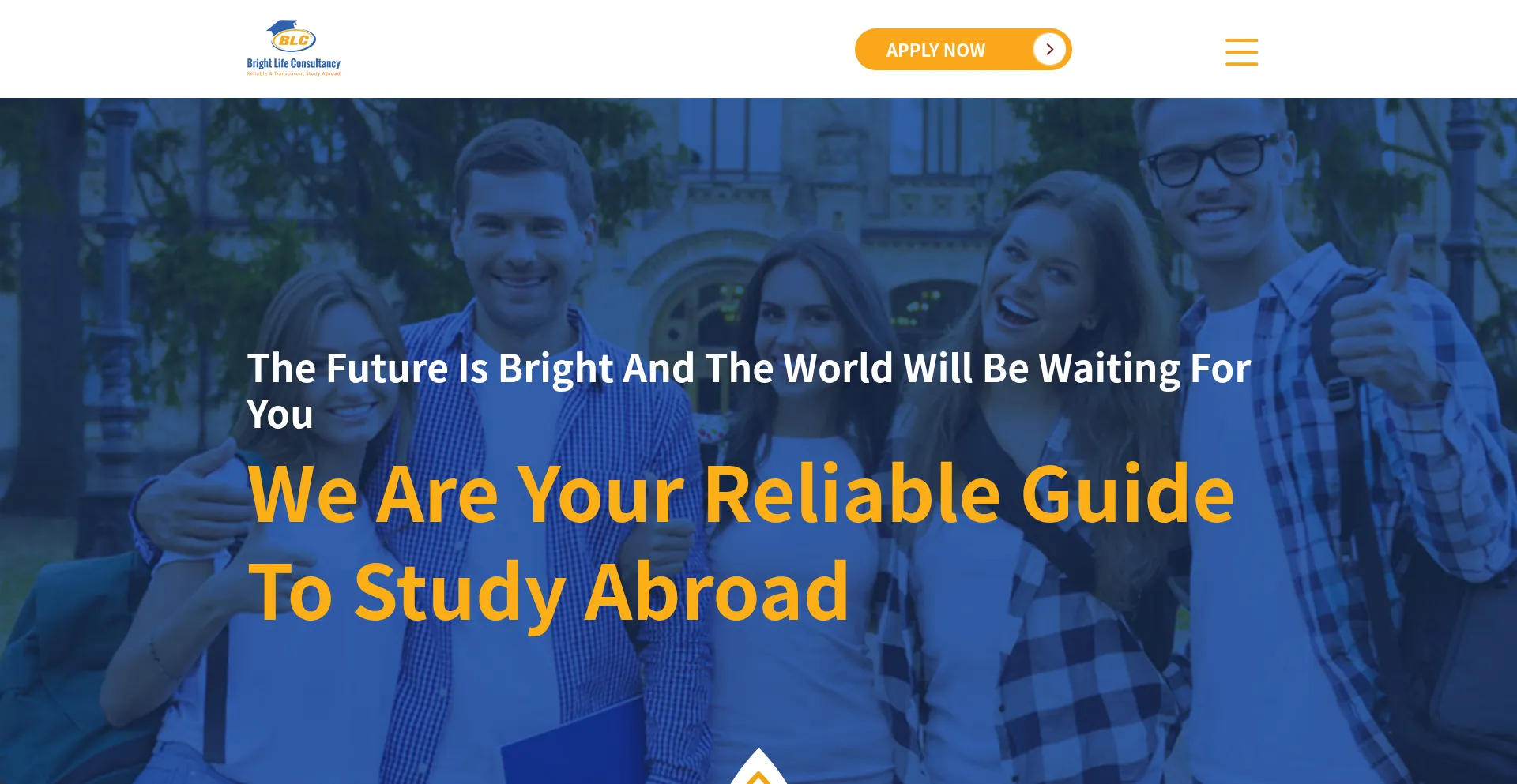 Brightlifeconsultancy.net